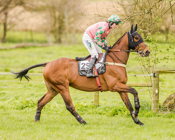 Race 2 - Open Maiden  (45 of 170).jpg