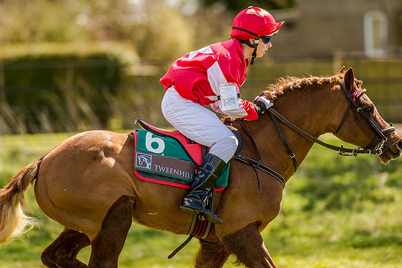 Pony Races (38 of 127).jpg