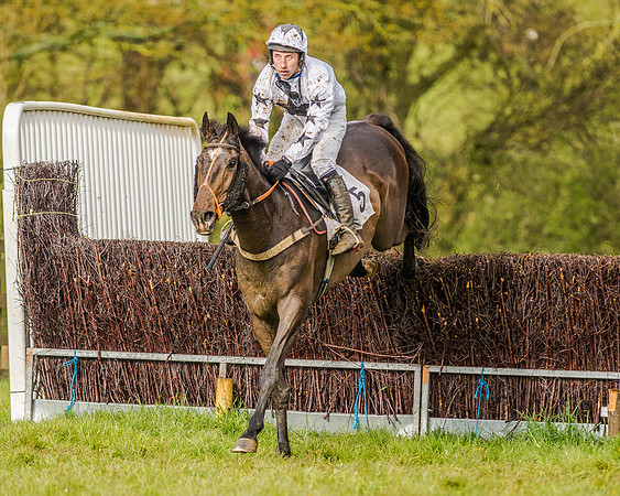 Race 5 - Open Maiden (122 of 147).jpg