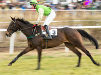 Race 6 - Open Maiden (18 of 110).jpg