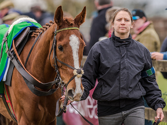 Race 5 - Open Maiden Division 2 (14 of 112).jpg