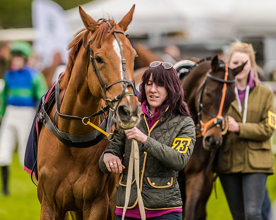 Race 2 - Open Maiden  (33 of 170).jpg