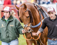 Race 3 - SEHC Members Conditions (17 of 132).jpg
