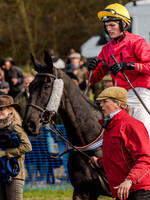 Race 5 - The Southern Grand national (19 of 96).jpg