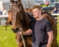 Race 6 - Open Maiden Race (12 of 176).jpg