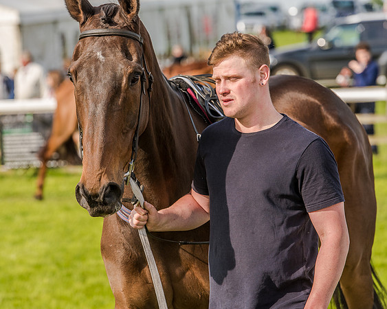 Race 6 - Open Maiden Race (12 of 176).jpg