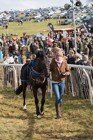 Race 4 - Novice and Veteran Riders race (9 of 46).jpg