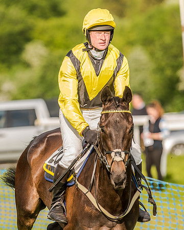 Race 7 - Div 2 - Open Maiden (52 of 163).jpg