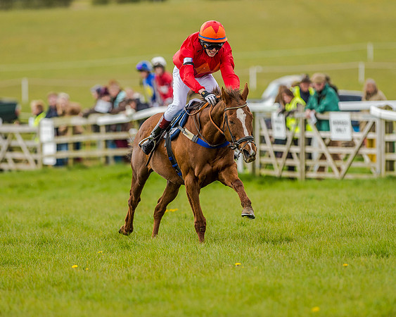 Pony Race 3 (57 of 78).jpg