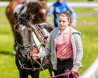 Pony Race 1  (12 of 99).jpg