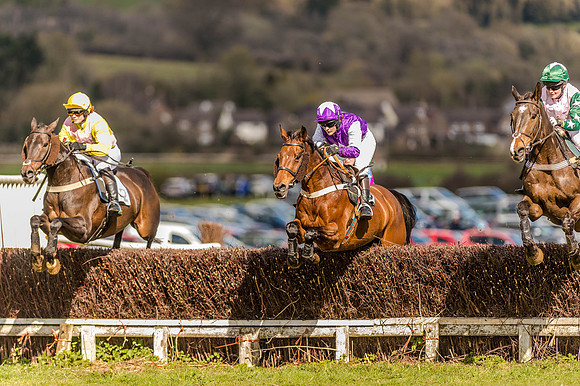 Race 4 - Ladies Open [Nov-Vet] (25 of 82).jpg