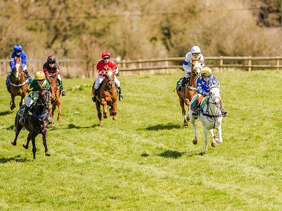 Pony Races (27 of 127).jpg
