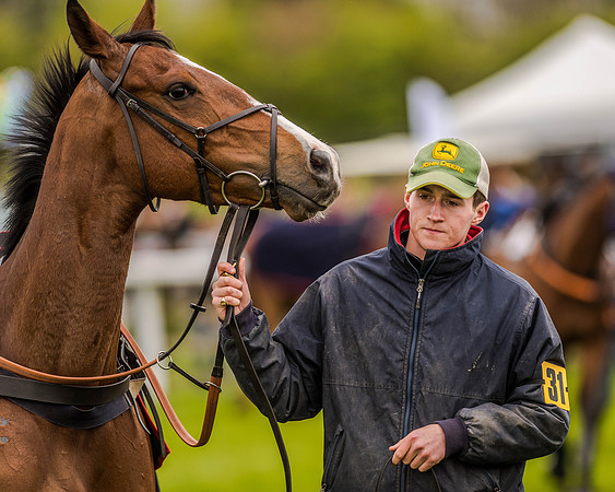 Race 2 - Open Maiden  (28 of 170).jpg