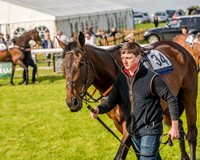 Race 6 - Open Maiden Race (6 of 176).jpg