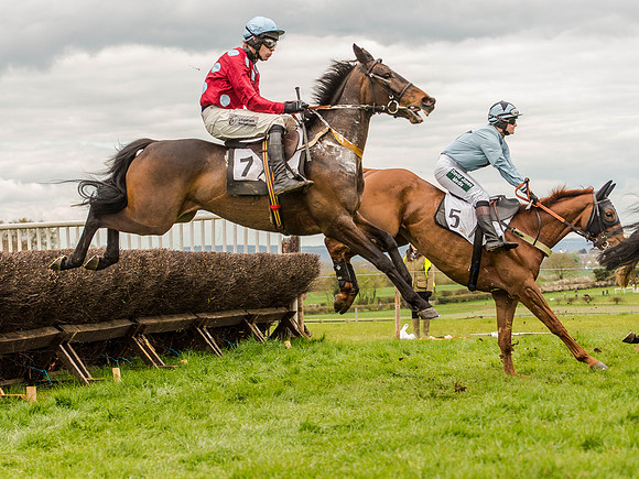 Race 3 - Young Horse maiden 2m5f (69 of 124).jpg
