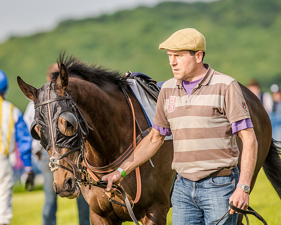 Race 7 - Div 2 - Open Maiden (37 of 163).jpg