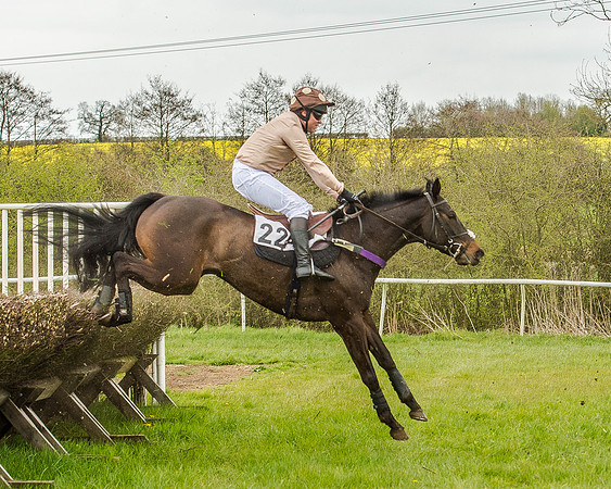 Race 2 - Open Maiden  (92 of 170).jpg