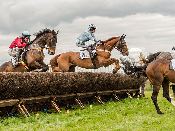 Race 3 - Young Horse maiden 2m5f (65 of 124).jpg