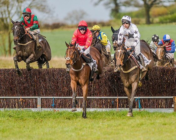 Race 5 - Open Maiden (93 of 147).jpg