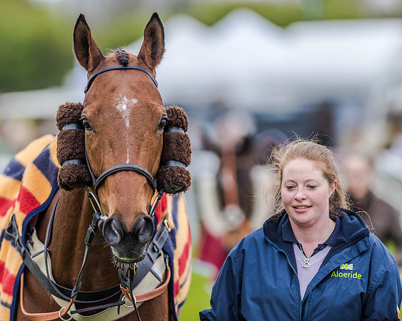 Race 4 - PPORA Novice Riders (6 of 151).jpg