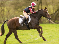Pytchley Pony Races (97 of 167).jpg