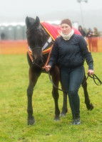 Race 5 - Open Maiden (5 of 112).jpg
