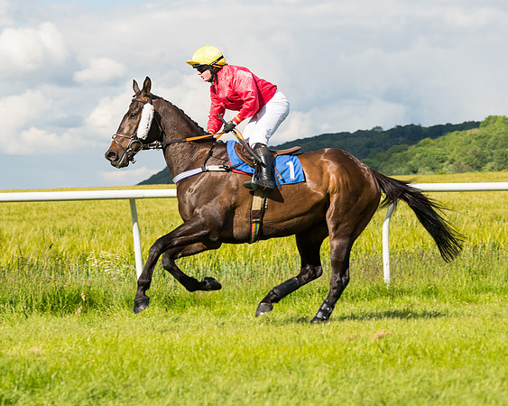 Race 5 - Restricted  (31 of 136)