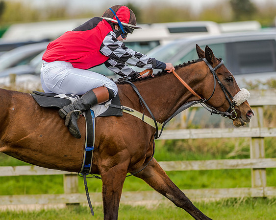 Pony Race 3 (46 of 78).jpg