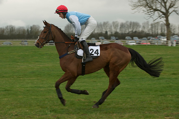 Race 5 - 3