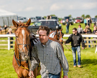 Race 6 - Open Maiden Race (18 of 176).jpg
