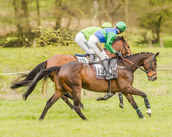 Race 2 - Open Maiden  (59 of 170).jpg