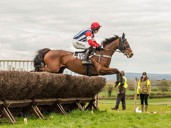 Race 3 - Young Horse maiden 2m5f (58 of 124).jpg
