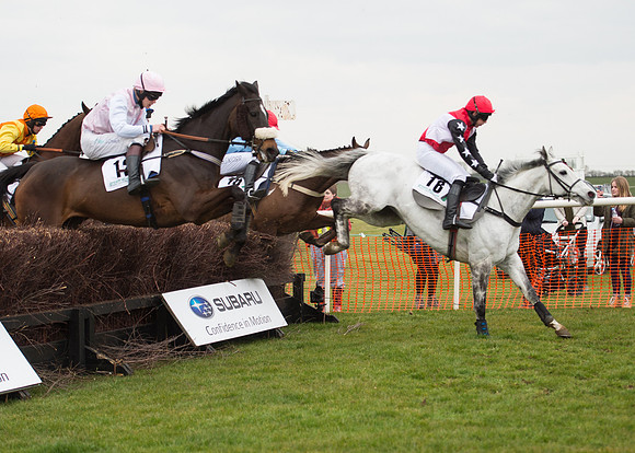 Race 6 - Confined Hunts-65