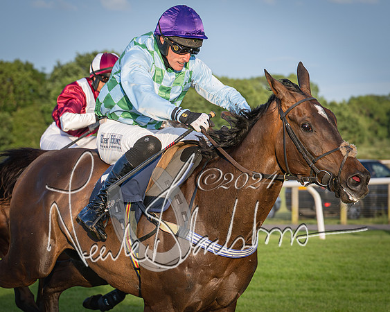 Race 5 - tipsterreviews.co.uk handicap (61 of 107)