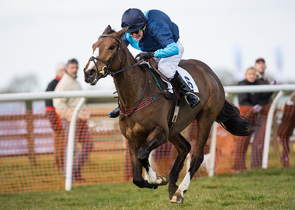 Pony Race 2 - 148cm -51