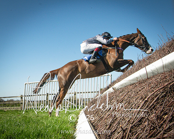 Race 5 - The restricted (65 of 113)