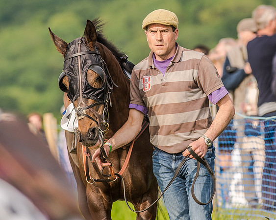 Race 7 - Div 2 - Open Maiden (36 of 163).jpg