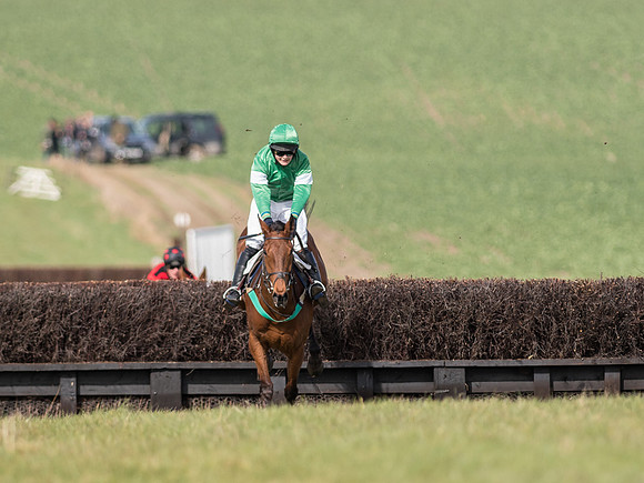 Race 2 - Confined Hunts Race (51 of 87).jpg