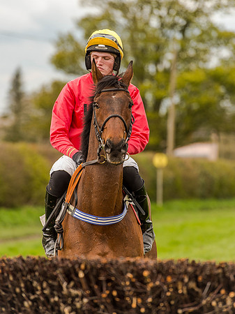 Race 1 - Confined Hunts (42 of 118).jpg