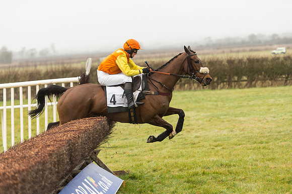 Race 1 - Confined Hunts (69 of 101).jpg