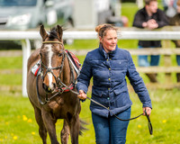 Pony Race 2 (1 of 77).jpg
