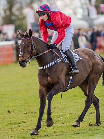 Race 3 - PPORA Club Members Novice Riders (28 of 75).jpg