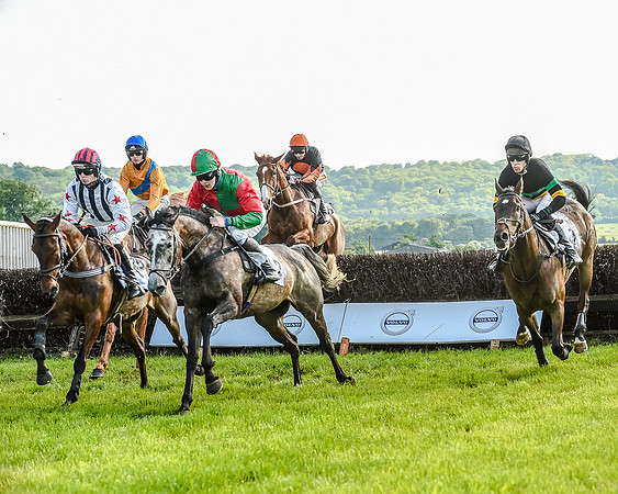 Race 7 - Div 1 - Open Maiden (42 of 94).jpg