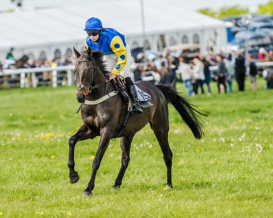 Race 4 - PPORA Novice Riders (56 of 196).jpg