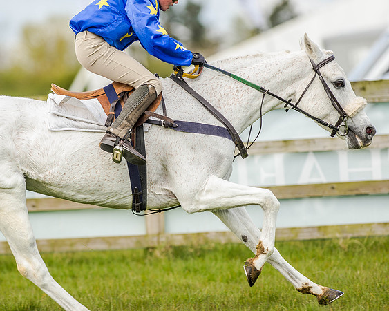 Pony Race 2 (63 of 77).jpg