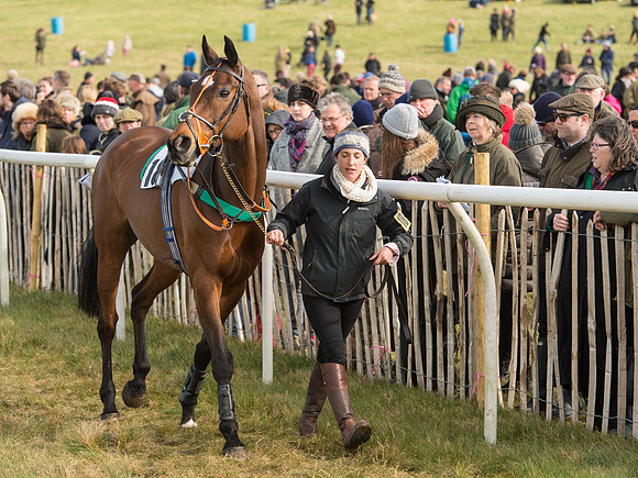 Race 3 - Mixed Open race (4 of 76).jpg