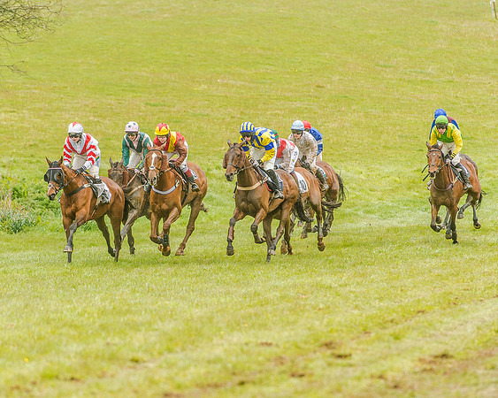 Race 5 - Restricted Race (73 of 146).jpg