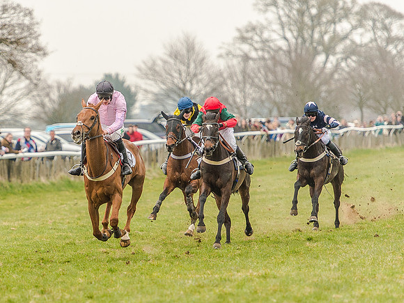 Race 5 - Open Maiden Division 1  (63 of 90).jpg