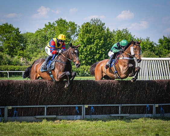 Race 3 The College and County Ladies Open Race (62 of 122)