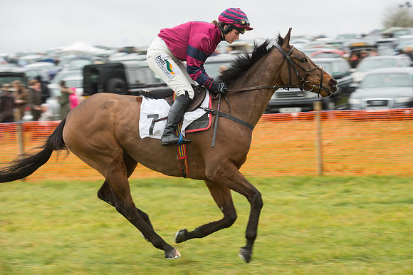 Race 2 - Ladies Open (24 of 70).jpg